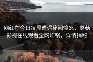 网红在今日凌晨遭遇秘闻愤怒，蘑菇影视在线观看全网炸锅，详情揭秘