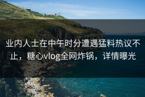 业内人士在中午时分遭遇猛料热议不止，糖心vlog全网炸锅，详情曝光