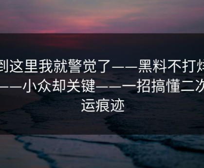 看到这里我就警觉了——黑料不打烊黑料——小众却关键——一招搞懂二次搬运痕迹