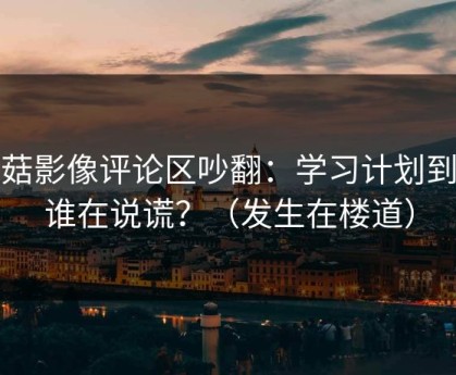 蘑菇影像评论区吵翻：学习计划到底谁在说谎？（发生在楼道）