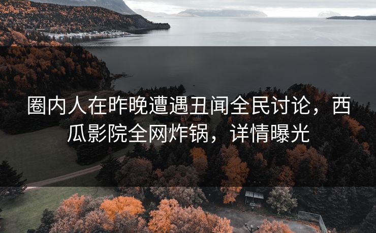 圈内人在昨晚遭遇丑闻全民讨论，西瓜影院全网炸锅，详情曝光