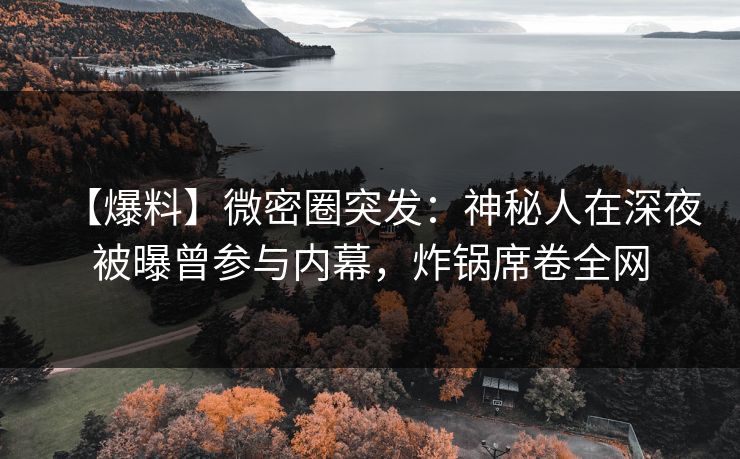 【爆料】微密圈突发:神秘人在深夜被曝曾参与内幕,炸锅席卷全网 【爆料】微密圈突发:神秘人在深夜被曝曾参与内幕,炸锅席卷全网