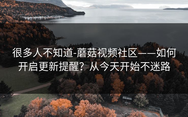 很多人不知道-蘑菇视频社区——如何开启更新提醒？从今天开始不迷路